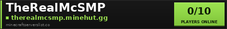 TheRealMcSMP banner