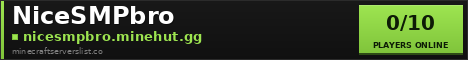NiceSMPbro banner