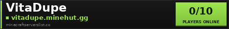 VitaDupe Minecraft Server Banner