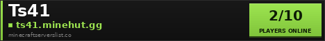 Ts41 Minecraft Server Banner