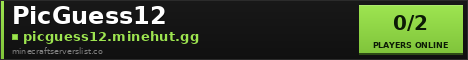 PicGuess12 Minecraft Server Banner