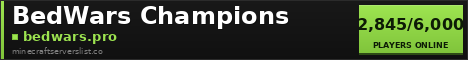 BedWars Champions banner