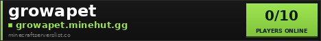 growapet Minecraft Server Banner