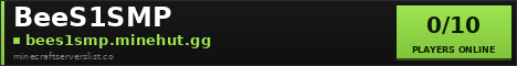 BeeS1SMP Minecraft Server Banner