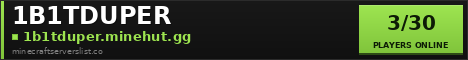 1B1TDUPER banner