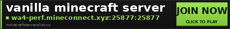 vanilla minecraft server banner
