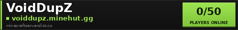 VoidDupZ Minecraft Server Banner