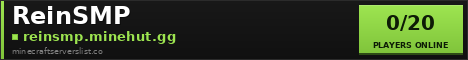 ReinSMP Minecraft Server Banner