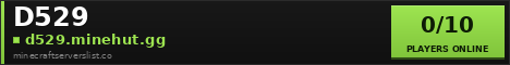 D529 Minecraft Server Banner