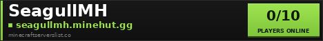 SeagullMH Minecraft Server Banner