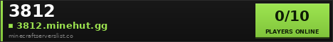 3812 Minecraft Server Banner