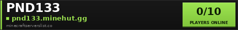 PND133 Minecraft Server Banner