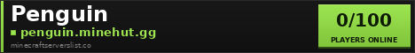Penguin Minecraft Server Banner