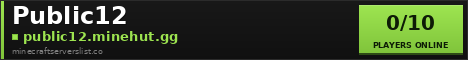 Public12 Minecraft Server Banner