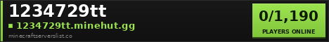 1234729tt Minecraft Server Banner