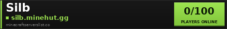 Silb Minecraft Server Banner
