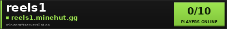 reels1 Minecraft Server Banner