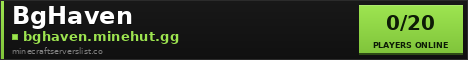 BgHaven Minecraft Server Banner