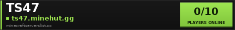 TS47 Minecraft Server Banner