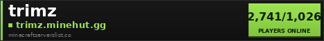 trimz Minecraft Server Banner