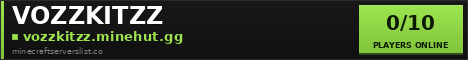 VOZZKITZZ Minecraft Server Banner