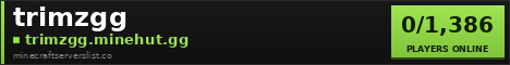 trimzgg Minecraft Server Banner