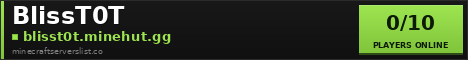 BlissT0T Minecraft Server Banner