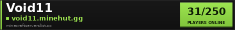 Void11 Minecraft Server Banner