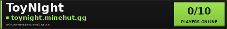 ToyNight Minecraft Server Banner