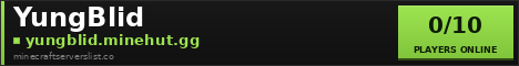 YungBlid Minecraft Server Banner