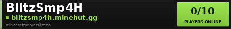 BlitzSmp4H banner