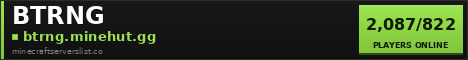 BTRNG Minecraft Server Banner