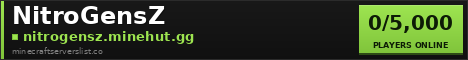 NitroGensZ Minecraft Server Banner