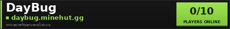 DayBug Minecraft Server Banner