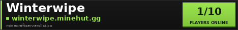 Winterwipe banner