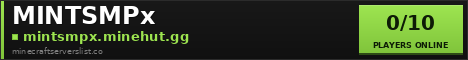 MINTSMPx banner