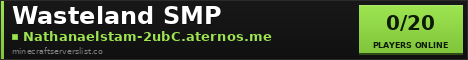 Wasteland SMP banner
